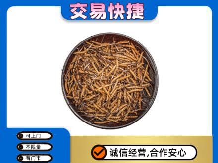 丹东高价回收散虫草